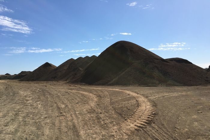 biosolids