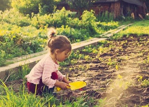 gardening