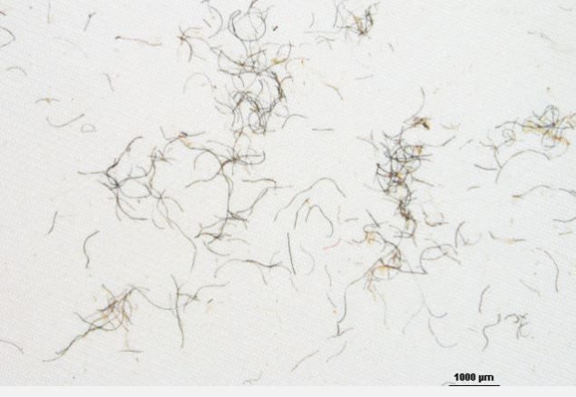 Fibers