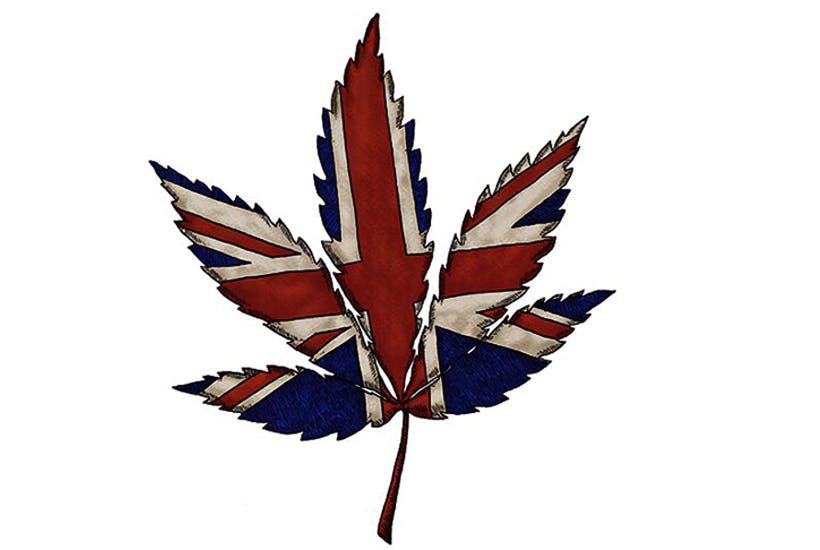 Click to enlarge Union Jack Marijuana