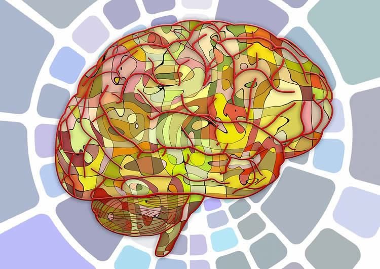 brain signals