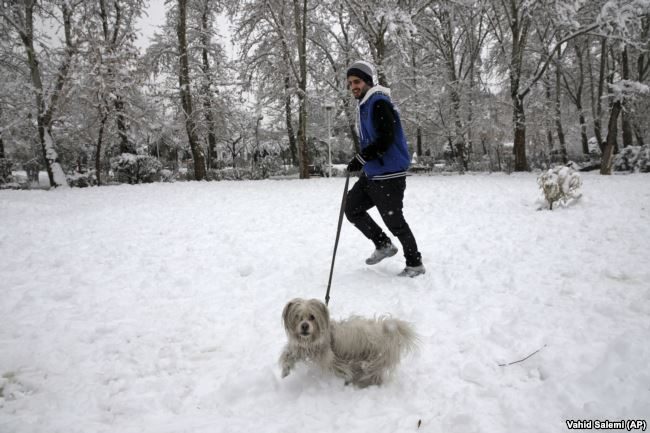 Click to enlarge man and dog