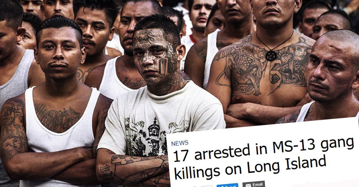 Click to enlarge MS-13 illegal gang members