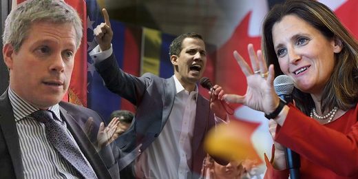 venezuela freeland