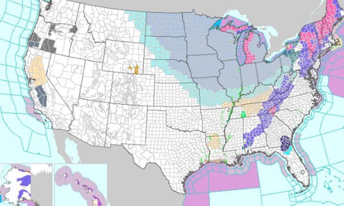 polar vortex US 2019