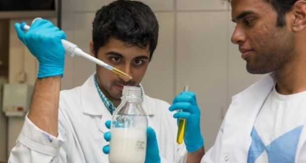 lab milk