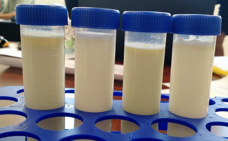Samples of the Perfect Day milk substitute product.