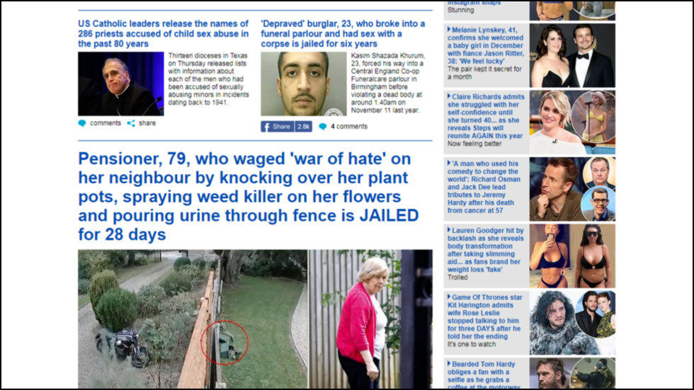 Newsguard Daily Mail