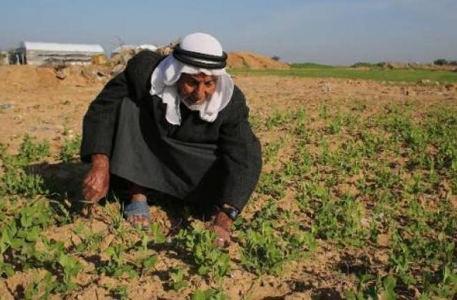 Palestinian Gaza farmer