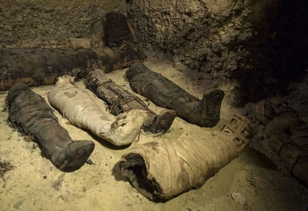 Mummies