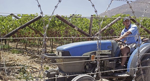 Click to enlarge Farmer