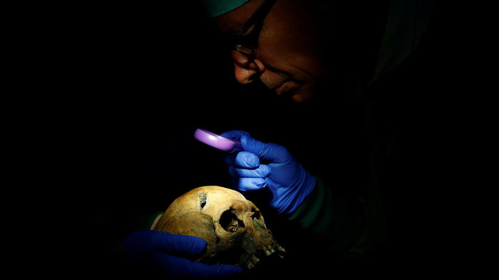 Click to enlarge dna skull