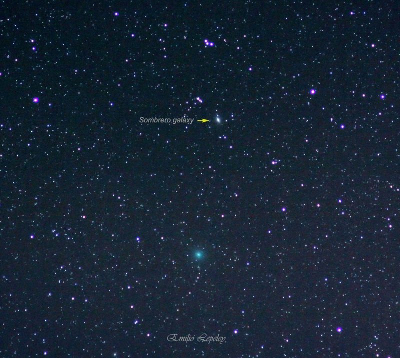 Comet C/2018 Y1 (Iwamoto)