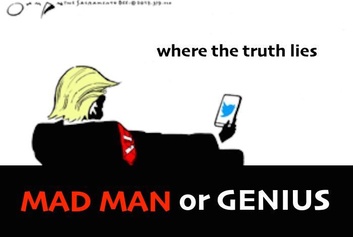 Click to enlarge Madmanorgenius