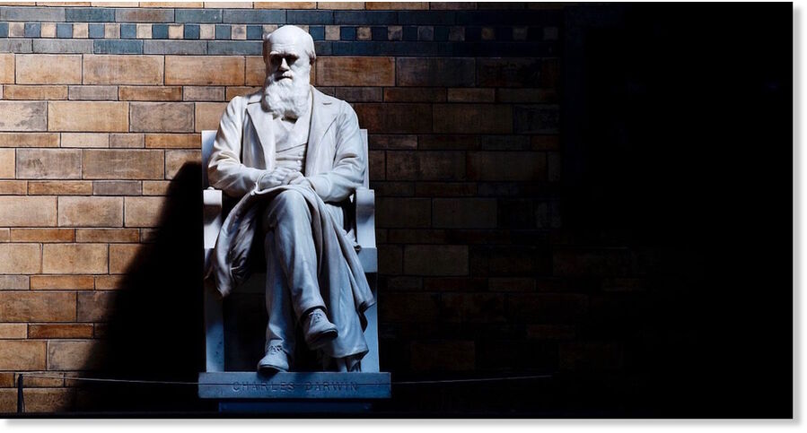 Click to enlarge darwin statue