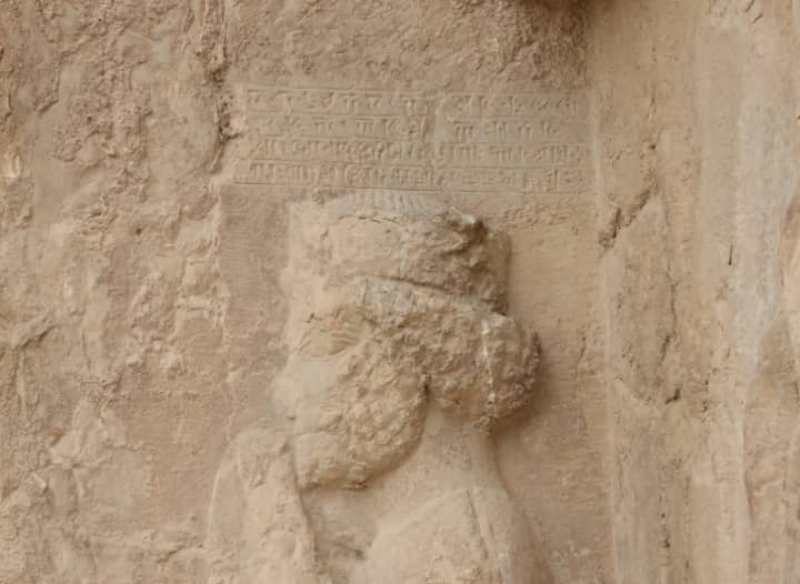 darius new inscription