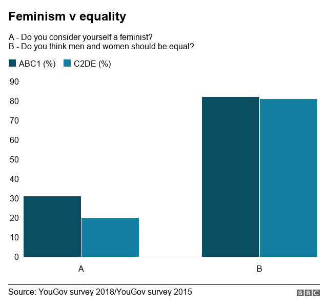 feminism equality survey