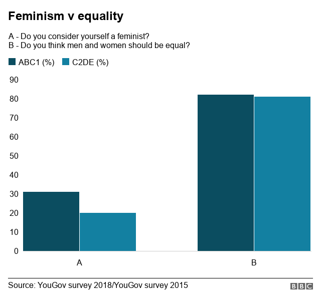 Click to enlarge feminism equality survey