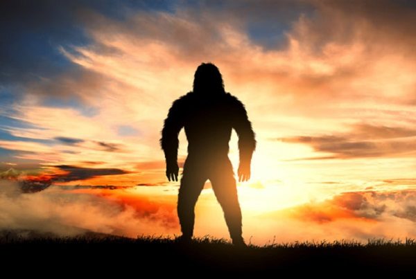big foot