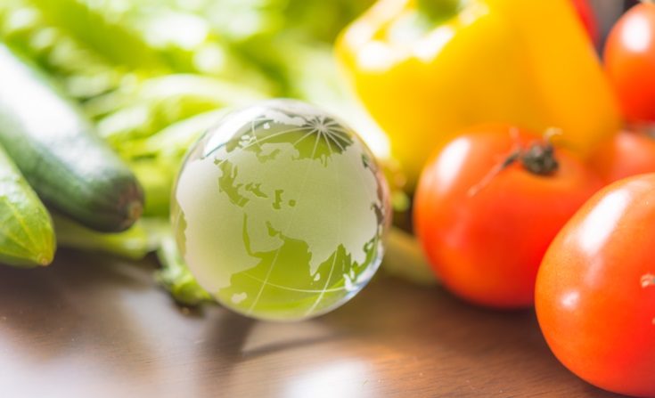vegetable planet