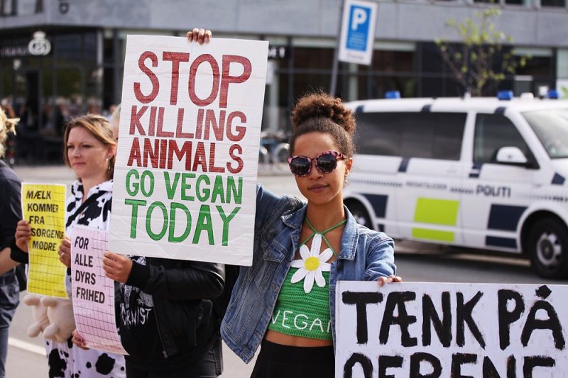 Click to enlarge Vegans