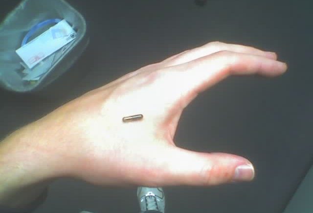 microchipping