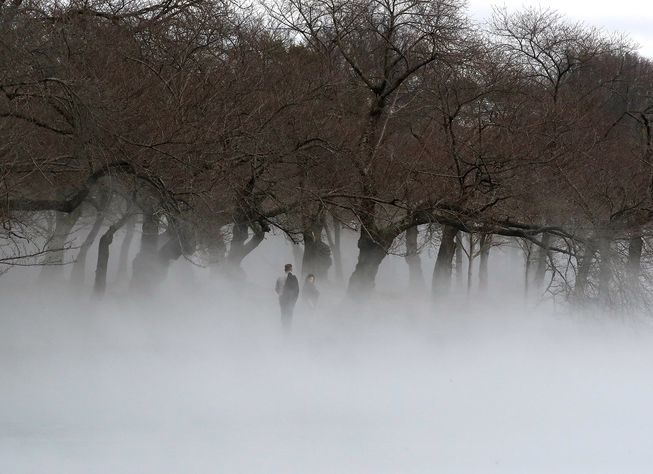 Fog rises on the tidal basin in Washington, D.C.