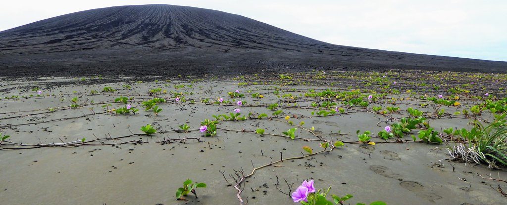 Hunga Tonga-Hunga Ha'apai, Hunga Tonga