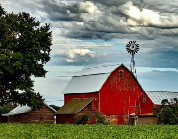 homestead farm