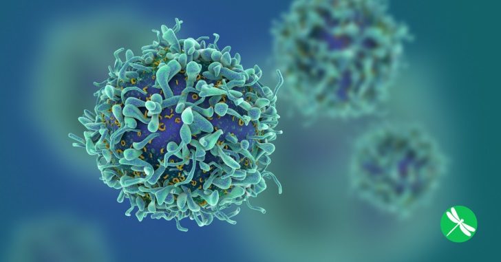 cancer cells