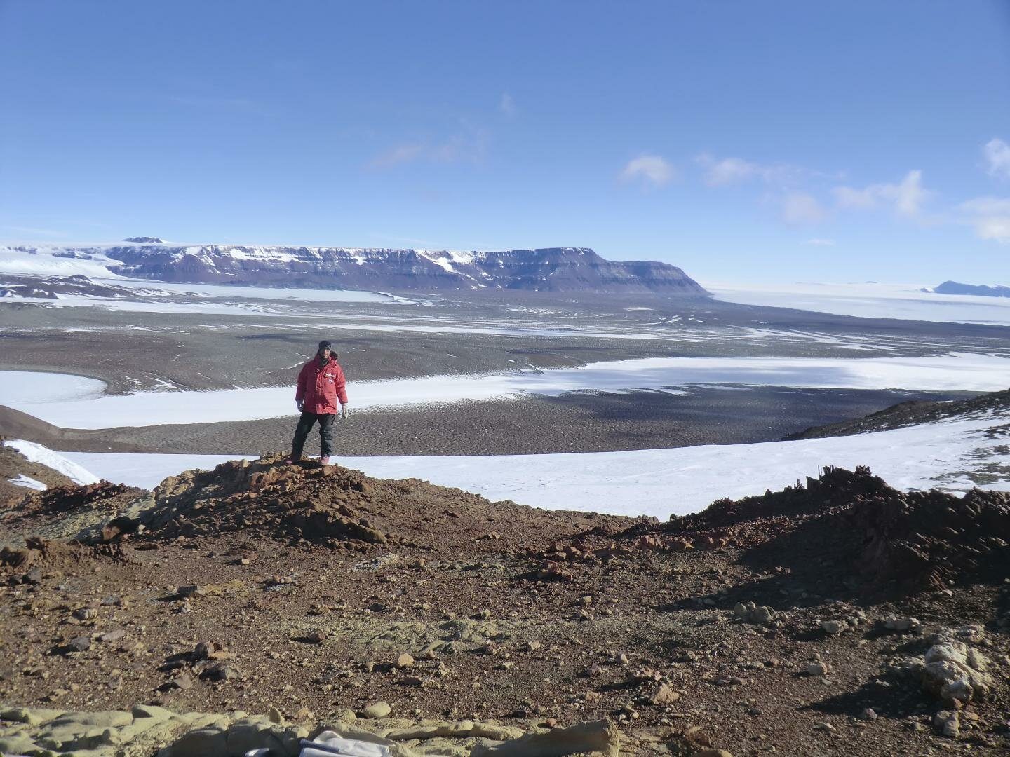 Click to enlarge fossil dig antarctica