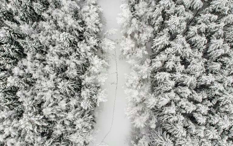 Click to enlarge The heavy snowfall hit the whole of central Russia, including the village of Troitskoye outside Moscow.