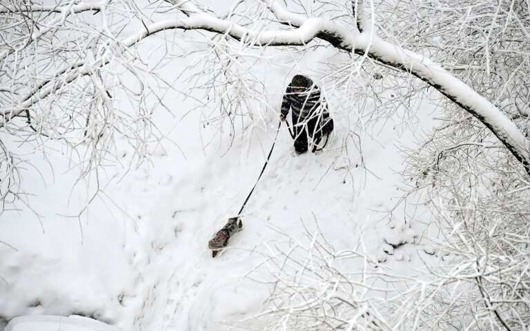 Click to enlarge City authorities said they sent out more than 60,000 people to shovel the snow.