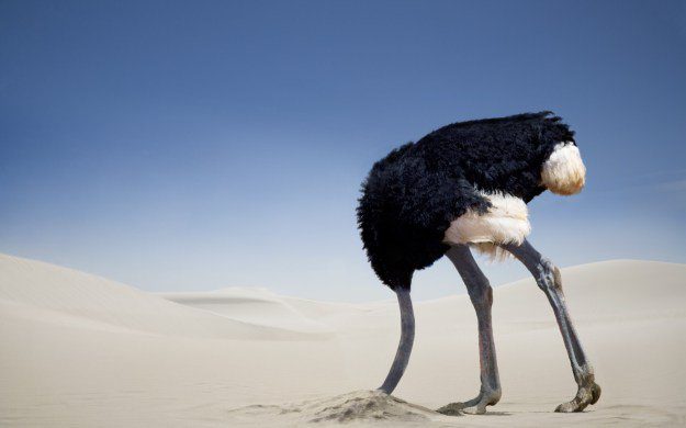 ostrich head sand