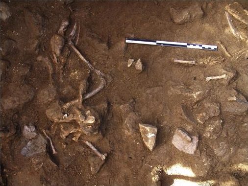 dog burial iberia