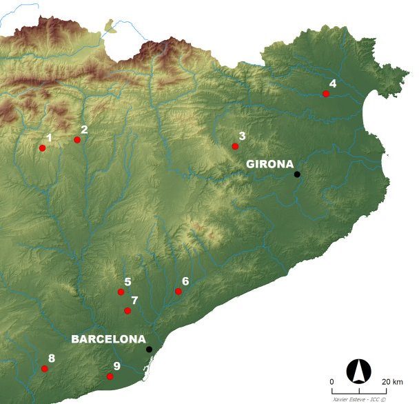dog burial iberia