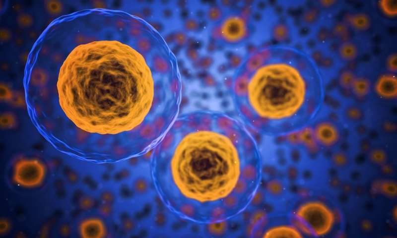 cells membranes