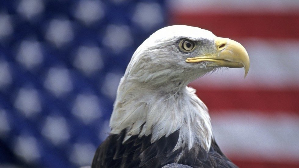 Click to enlarge eagle america