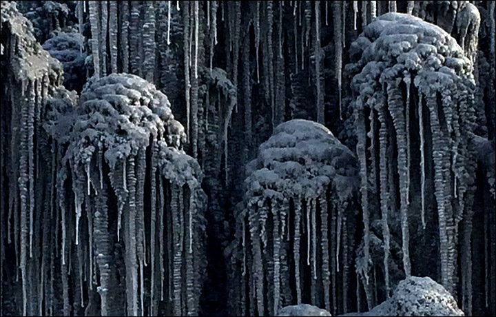 Click to enlarge black snow
