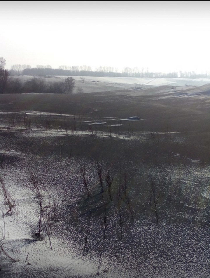 Click to enlarge black snow