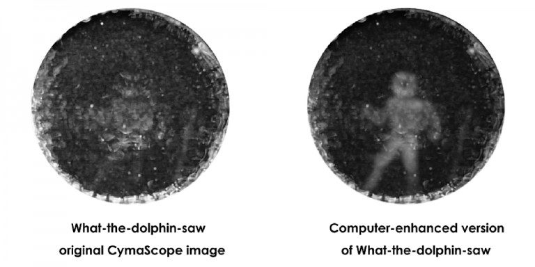 Click to enlarge dolphin sounds translate to images