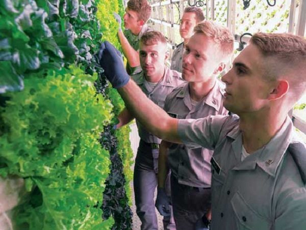 Cadets gain hands-on experience
