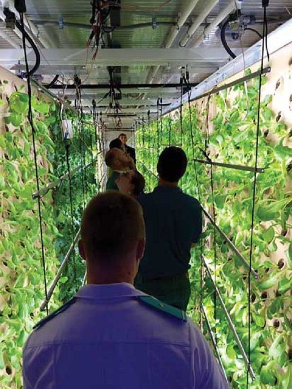 Click to enlarge 4,400 plants