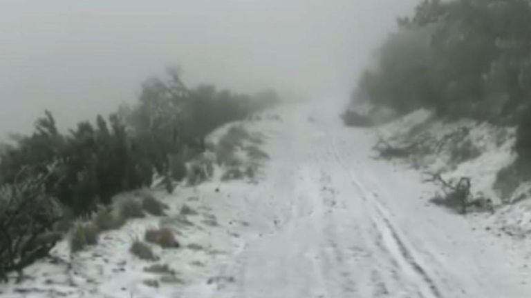 Rare snowfall on low elevation area of Hawaii