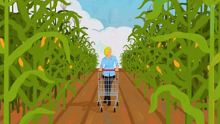 Corn