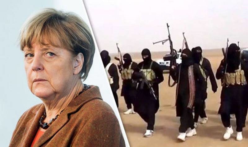 isis fighters return home