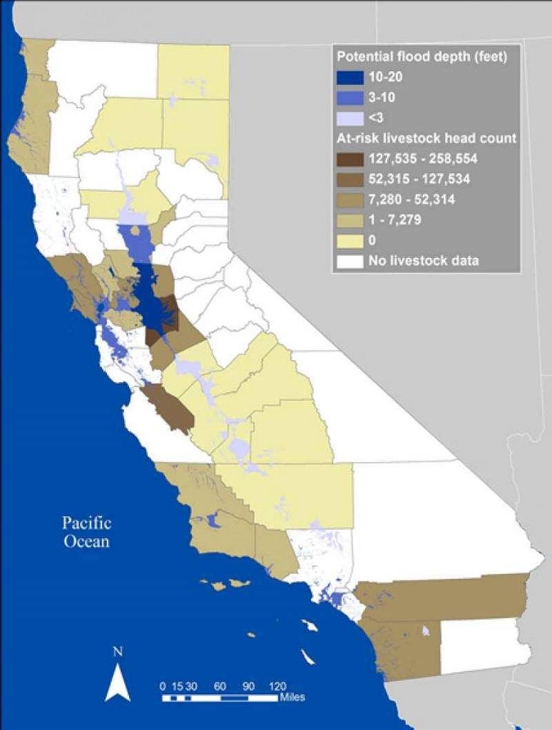 Click to enlarge projected flood loss 1962