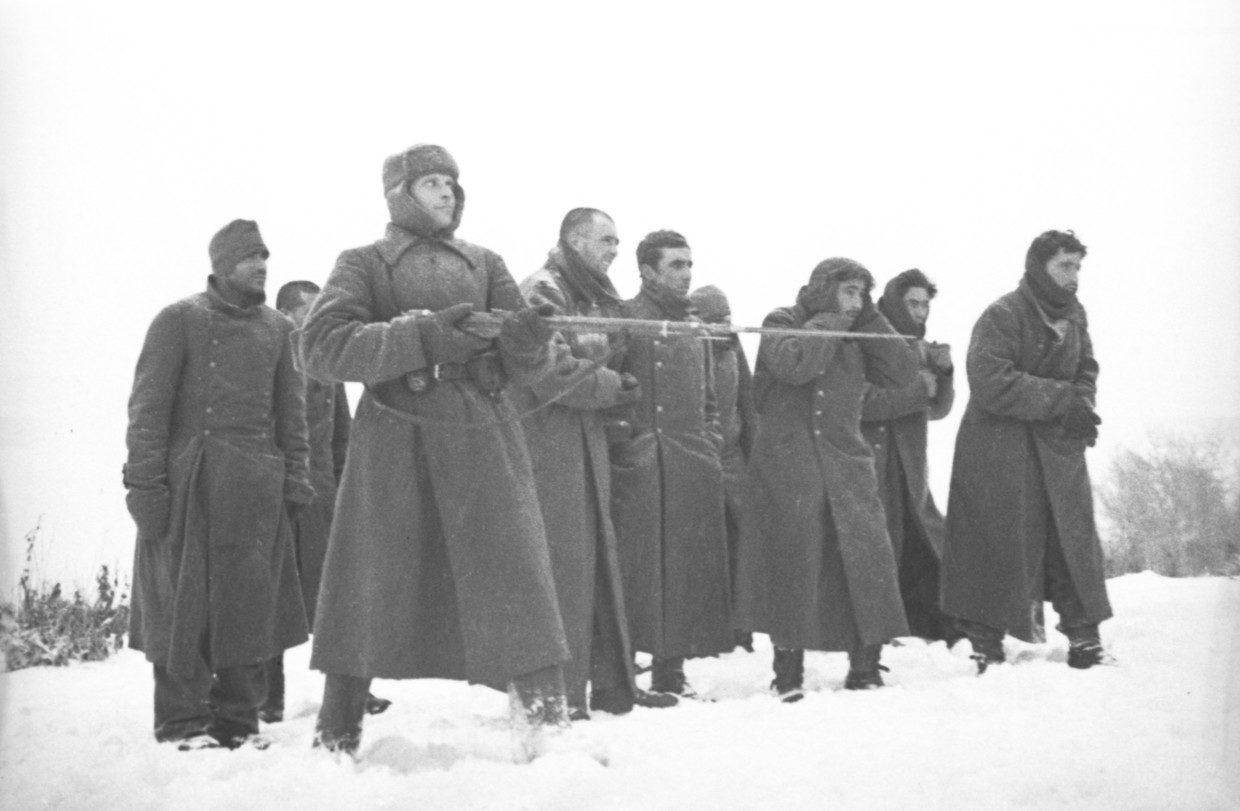 Click to enlarge Blue Division