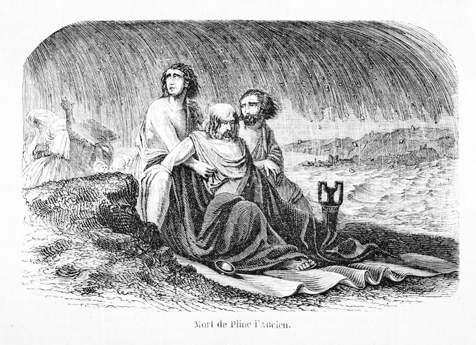 Click to enlarge Pliny