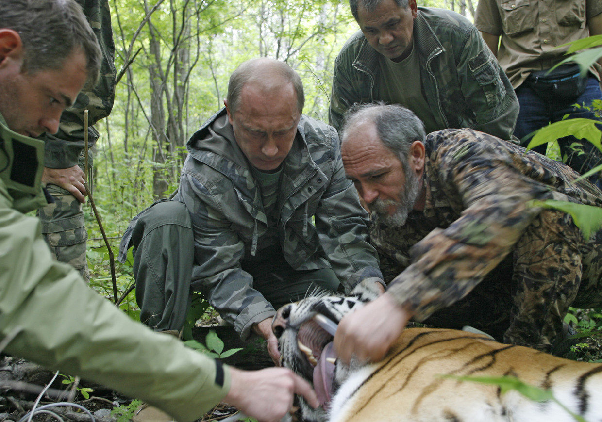 Putin with tiger 2